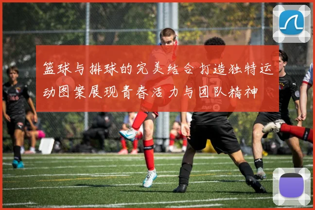 篮球与排球的完美结合打造独特运动图案展现青春活力与团队精神