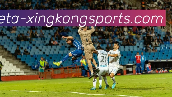 星空体育平台生态图