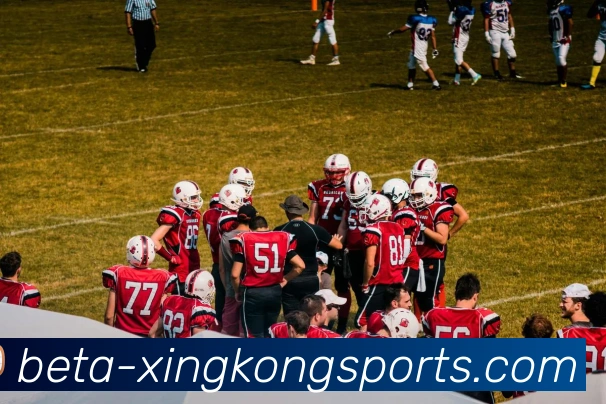 星空体育APP 封面图